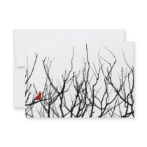 The Red Bird by Leslie Peppers Custom Announcement