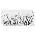 The Red Bird by Leslie Peppers Rack Card Design