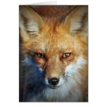 The Red Fox Gifts & Greetings Greeting Card