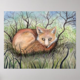 The Red Fox Print