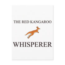 The Red Kangaroo Whisperer postcards