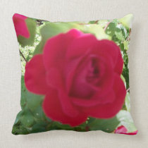 The Red Rose Pillow pillows