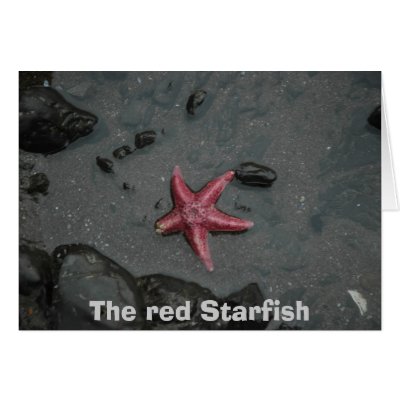 The red Starfish Card by Unidosonline