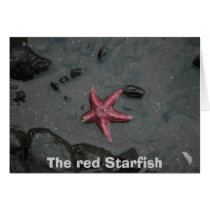 The red Starfish cards