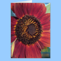 The Red Sunflower Birthday Card cards