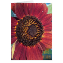 The Red Sunflower Birthday Card