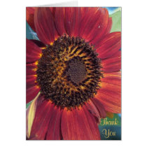 The Red Sunflower Thank You Card