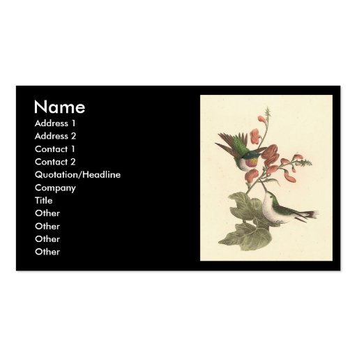 The Red-throated Hummingbird (Trochilus colubris) Business Card