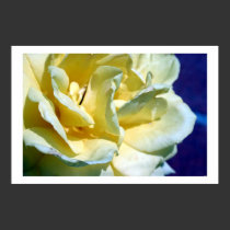 the return of your love posters by HAJenkins the return of your love posters
