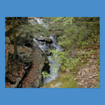 The Rhododendron posters