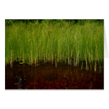 The Ridges Sanctuary Card
