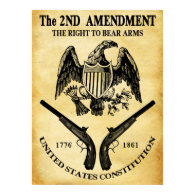The Right To Bear Arms Print