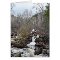 The River cards