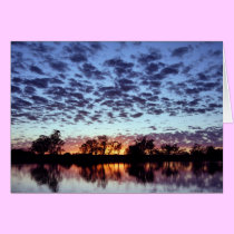 The River Murray cards by iodesigns The River Murray cards