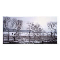 The River photo cards by loudesigns The River photo cards