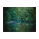 The River • Postcard by SabineSt The River • Postcard