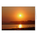 The River sunset cards