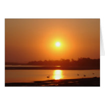 The River sunset cards by ArtMark The River sunset cards