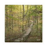 The Road Less Traveled Magnet
