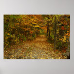 The Road Less Traveled Posters