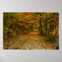 The Road Less Traveled Posters