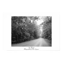 the Road posters by rosedragon141 the Road posters
