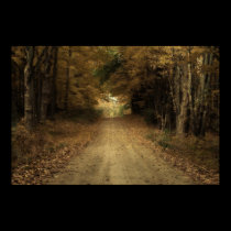 The Road posters