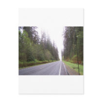 The Road to Forks, WA Post Card