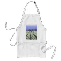 The road to paradise apron