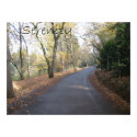 The road to serentiy canvas print