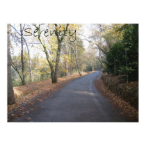 The road to serentiy canvas print by joacreations The road to serentiy canvas print