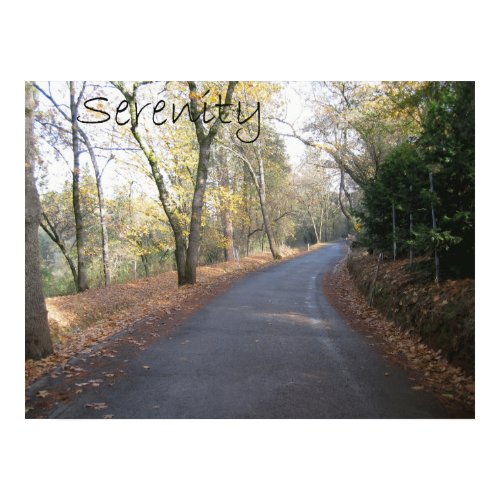 The road to serentiy canvas print print