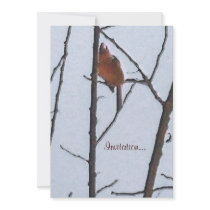 The Robin invitations