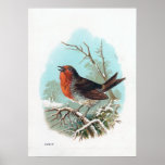 "The Robin" Poster