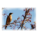 THE ROBIN PRINT by GINABARE THE ROBIN PRINT