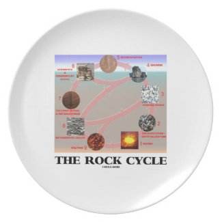 The Rock Cycle (Geology Earth Science) Plate