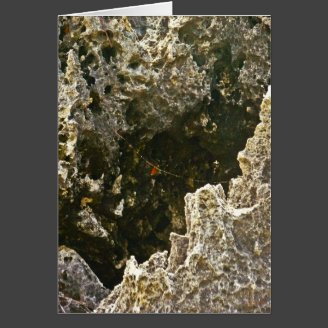 The Rocks Of Hell
