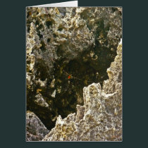 The Rocks Of Hell cards