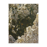 The Rocks Of Hell Post Cards
