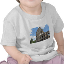 The Roman Colosseum T Shirts