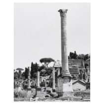 The Roman Forum flyers