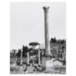 The Roman Forum Flyer Design