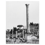 The Roman Forum Letterhead