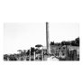The Roman Forum Customized Photo Card