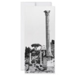The Roman Forum Customized Rack Card
