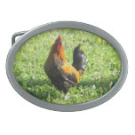 The Rooster Belt Buckles
