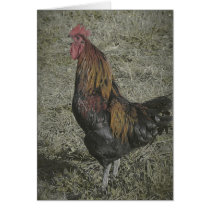 The Rooster Crows Greeting Cards