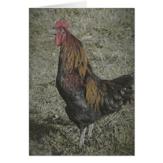 The Rooster Crows card