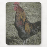 The Rooster Crows Mousepad