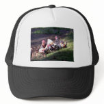 The Rooster Gang Mesh Hat